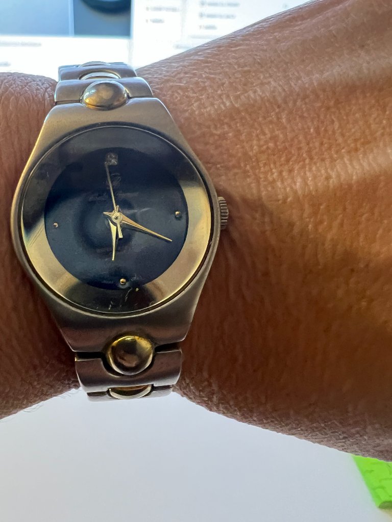 Charles Raymond Twotone Stainless Steel Watch Japan Quartz Movement